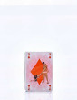 mini jeu de carte kamasutra