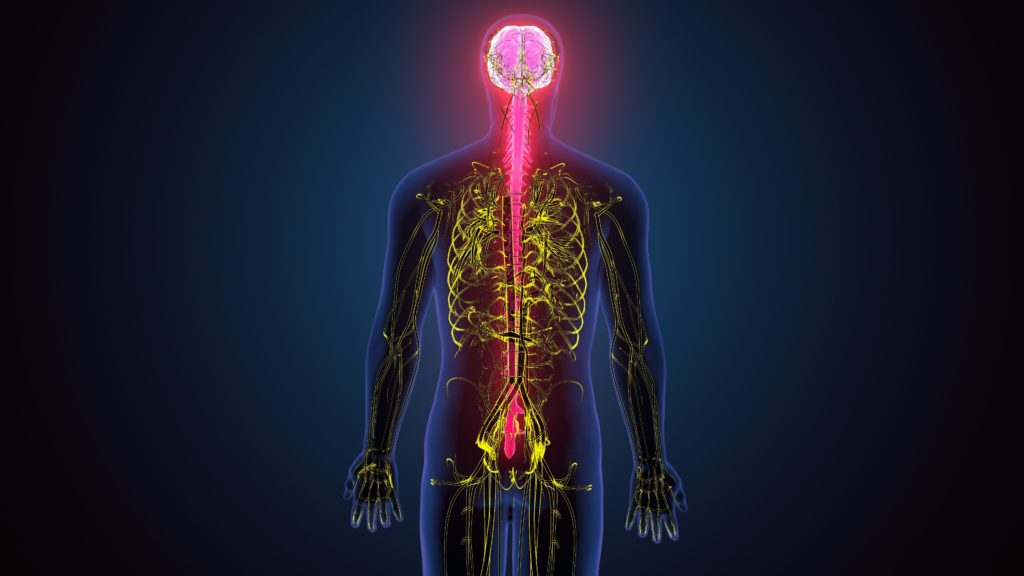 l'action du poppers sur le systeme nerveux